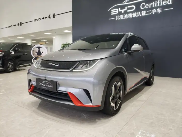 BYD Dolphin 2021 Model Fashion Edition – фото 1