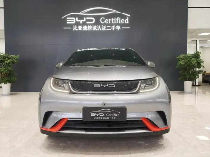 BYD Dolphin 2021 Model Fashion Edition – фото 2