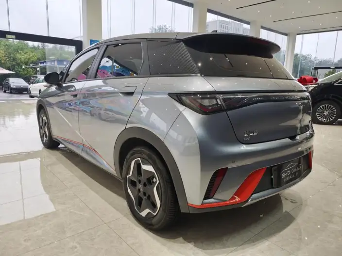 BYD Dolphin 2021 Model Fashion Edition – фото 5