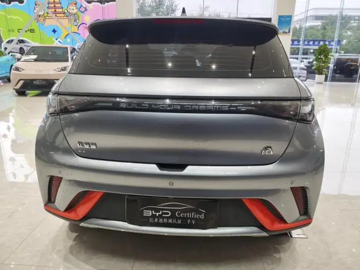 BYD Dolphin 2021 Model Fashion Edition – фото 6