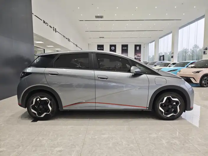 BYD Dolphin 2021 Model Fashion Edition – фото 8
