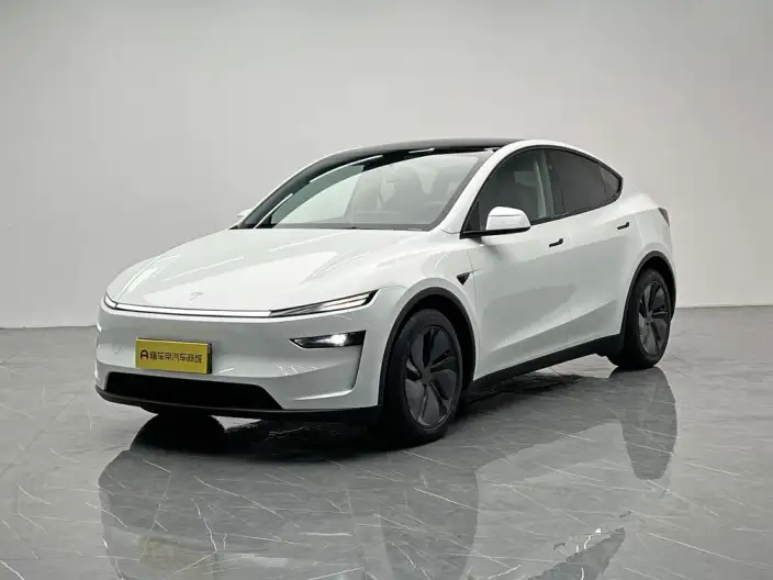 Model Y 2025 Model Rear-wheel drive version – фото 1