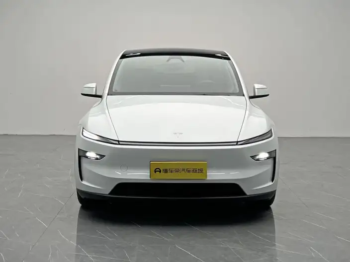 Model Y 2025 Model Rear-wheel drive version – фото 2