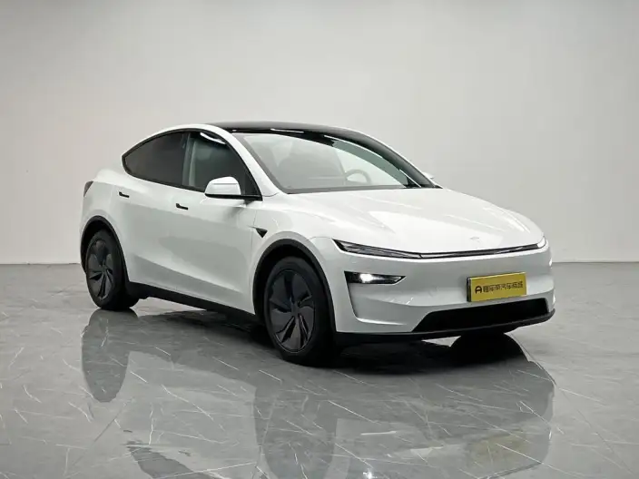 Model Y 2025 Model Rear-wheel drive version – фото 3