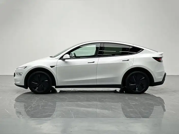 Model Y 2025 Model Rear-wheel drive version – фото 4