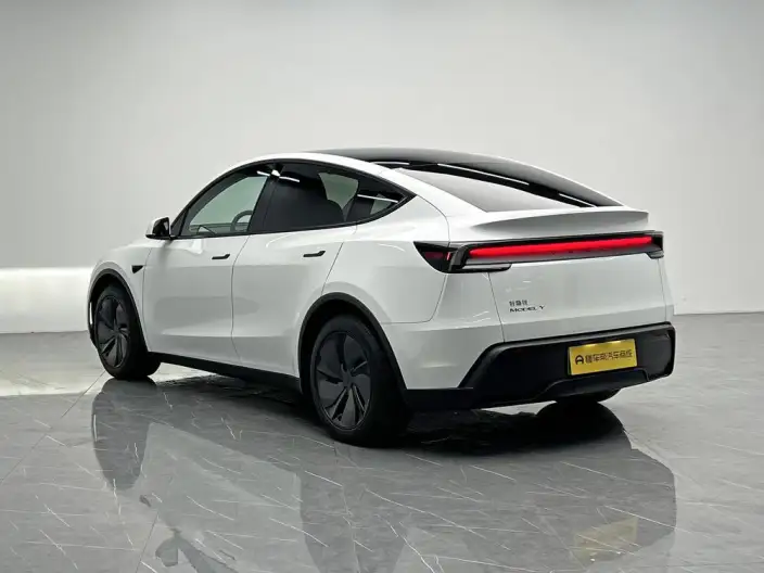 Model Y 2025 Model Rear-wheel drive version – фото 5
