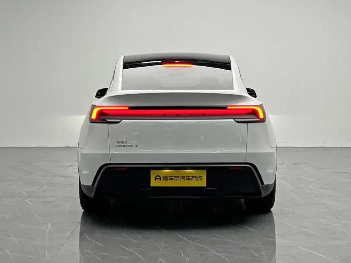 Model Y 2025 Model Rear-wheel drive version – фото 6