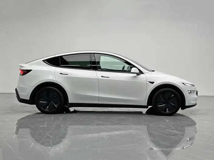 Model Y 2025 Model Rear-wheel drive version – фото 8