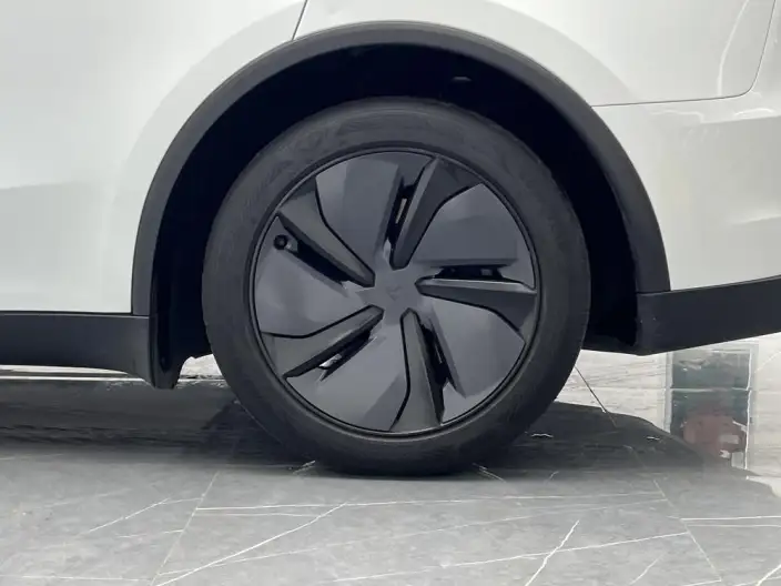 Model Y 2025 Model Rear-wheel drive version – фото 9