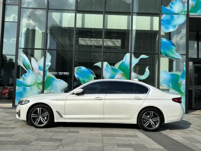 BMW 5 Series 2021 Model 530Li Leading Model Luxury Set – фото 3