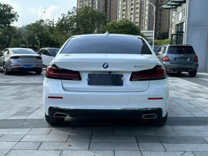 BMW 5 Series 2021 Model 530Li Leading Model Luxury Set – фото 4