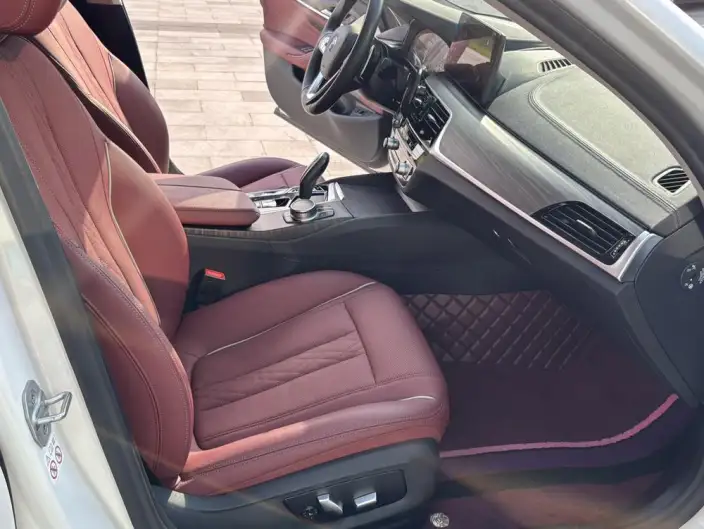 BMW 5 Series 2021 Model 530Li Leading Model Luxury Set – фото 8