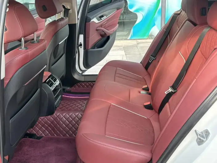 BMW 5 Series 2021 Model 530Li Leading Model Luxury Set – фото 9