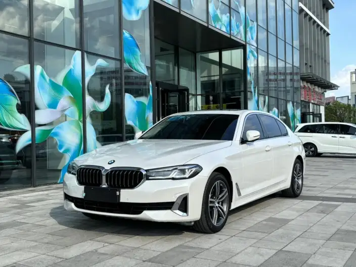 BMW 5 Series 2021 Model 530Li Leading Model Luxury Set – фото 10