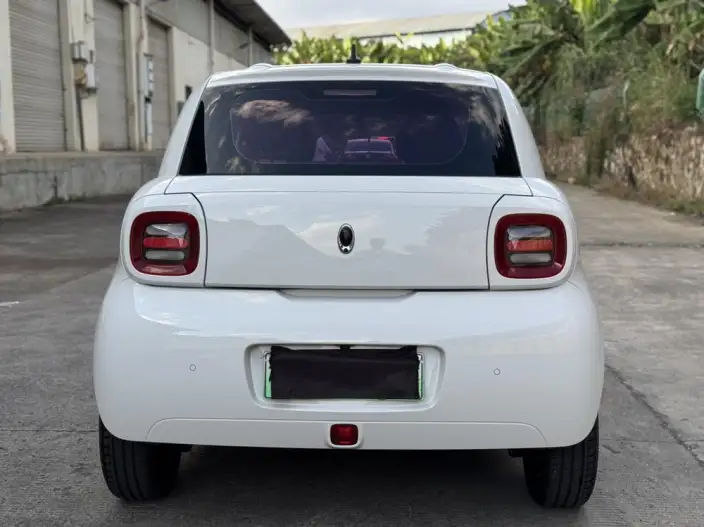 ORA Black Cat 2021 Model 351km Standard Model – фото 3