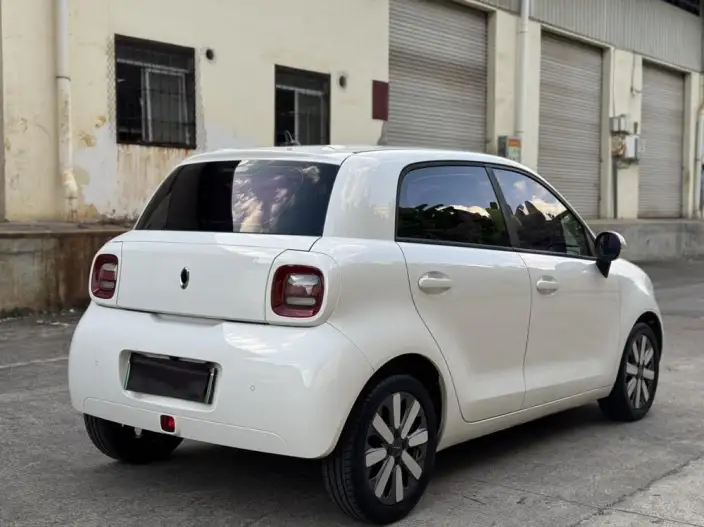 ORA Black Cat 2021 Model 351km Standard Model – фото 4