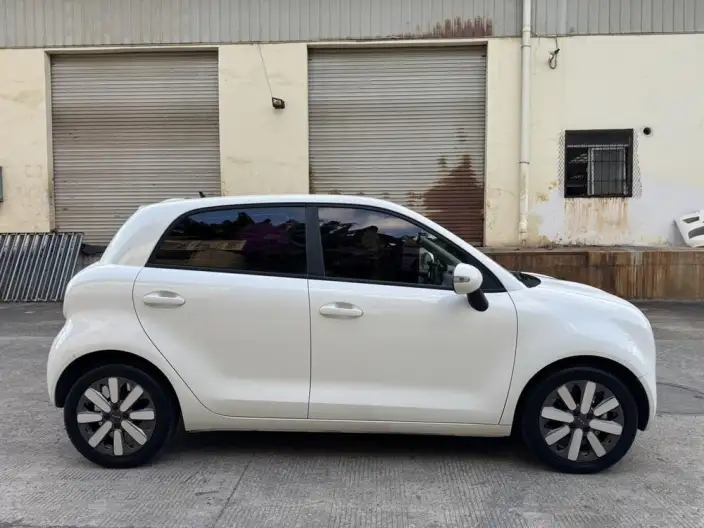 ORA Black Cat 2021 Model 351km Standard Model – фото 5