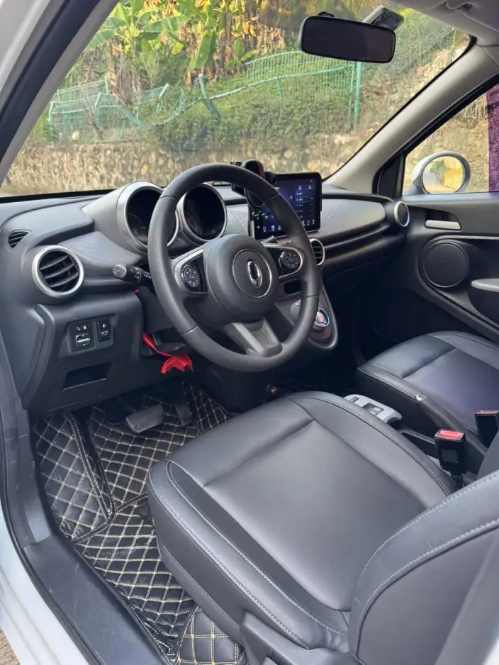 ORA Black Cat 2021 Model 351km Standard Model – фото 7