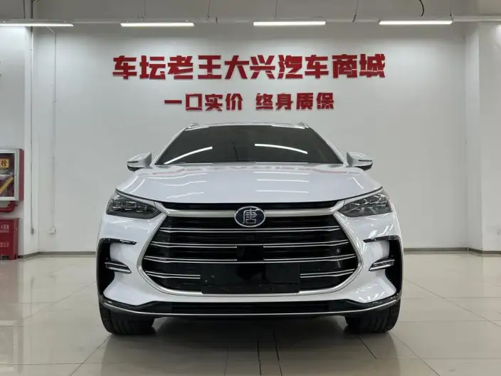 BYD Tang DM 2023 Model DM-i Champion Edition 112KM Exclusive Model – фото 2