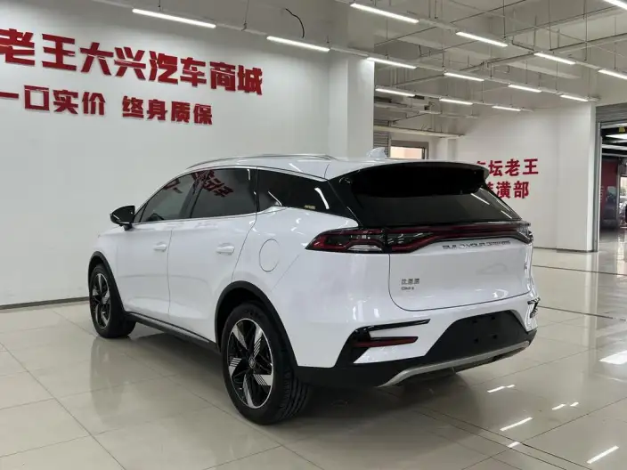 BYD Tang DM 2023 Model DM-i Champion Edition 112KM Exclusive Model – фото 4