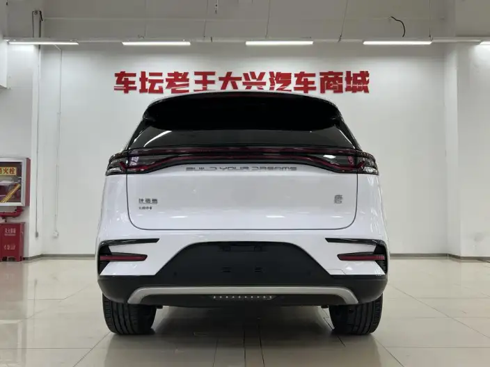BYD Tang DM 2023 Model DM-i Champion Edition 112KM Exclusive Model – фото 5