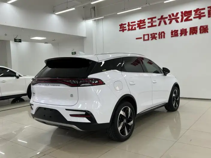 BYD Tang DM 2023 Model DM-i Champion Edition 112KM Exclusive Model – фото 6