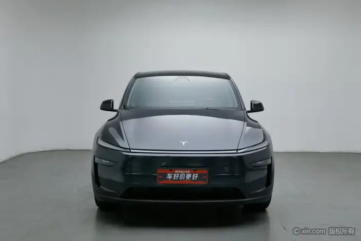 Model Y 2025 Model Rear-wheel drive version – фото 1