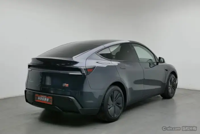 Model Y 2025 Model Rear-wheel drive version – фото 3
