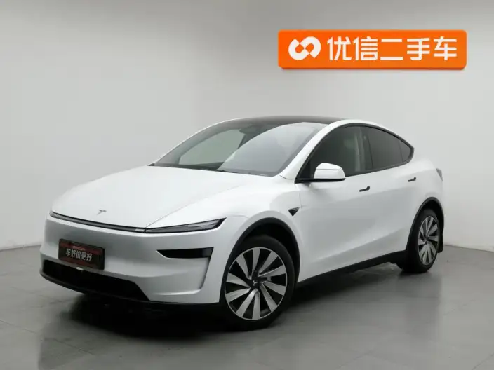 Model Y 2025 Model Rear-wheel drive version – фото 1
