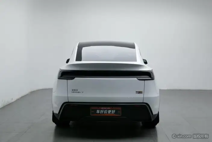Model Y 2025 Model Rear-wheel drive version – фото 3