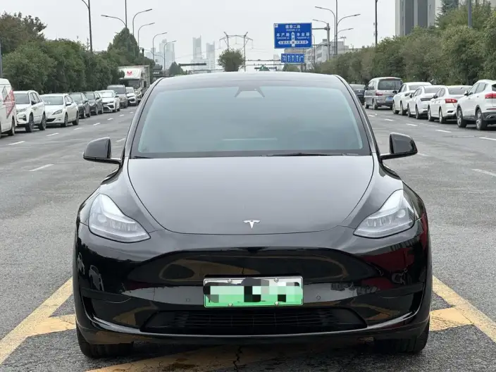 Model Y 2022 Model Rear-wheel drive version – фото 2
