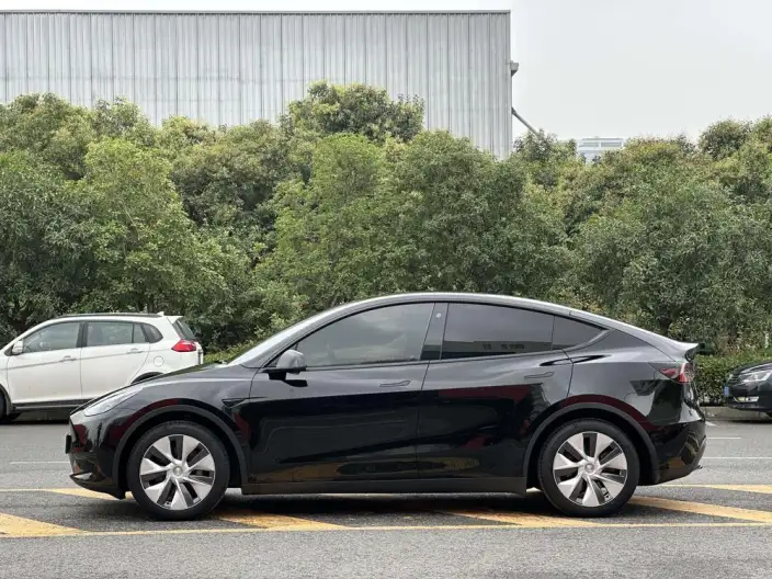 Model Y 2022 Model Rear-wheel drive version – фото 3