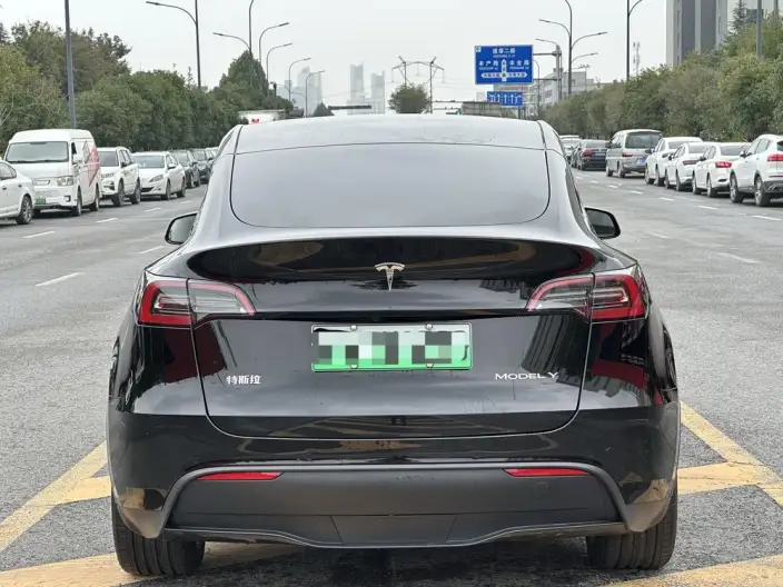 Model Y 2022 Model Rear-wheel drive version – фото 4
