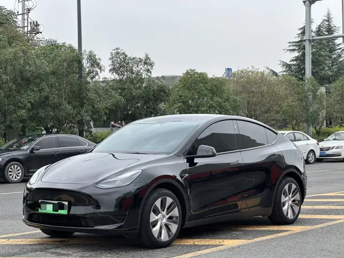 Model Y 2022 Model Rear-wheel drive version – фото 10