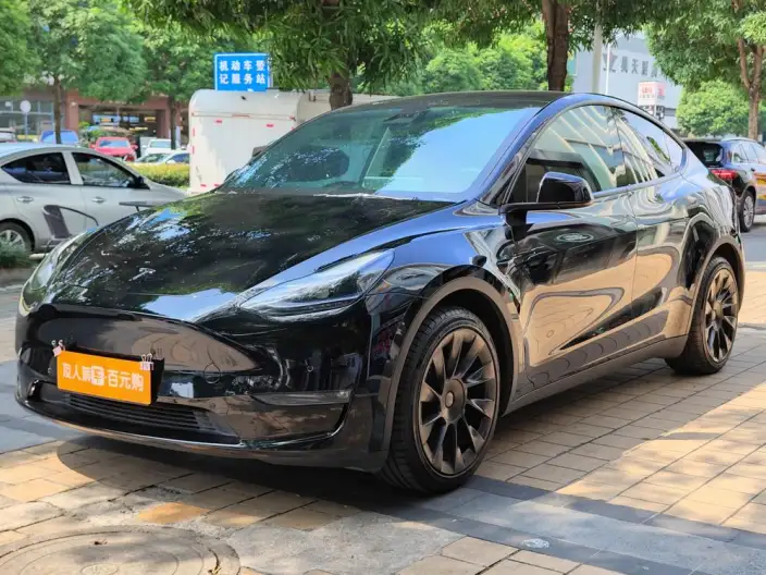 Model Y 2022 Model Rear-wheel drive version – фото 1