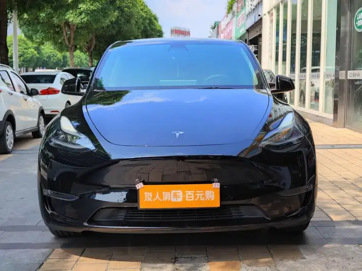 Model Y 2022 Model Rear-wheel drive version – фото 2