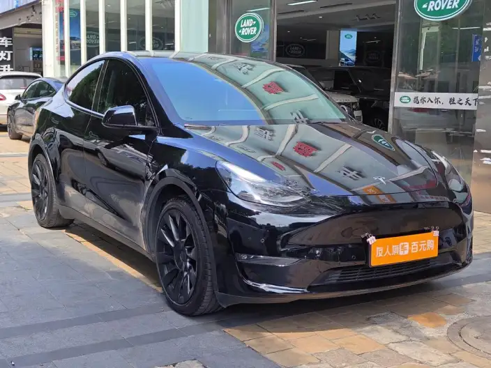Model Y 2022 Model Rear-wheel drive version – фото 3