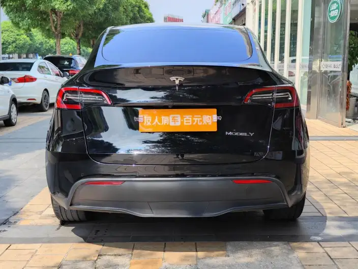 Model Y 2022 Model Rear-wheel drive version – фото 4