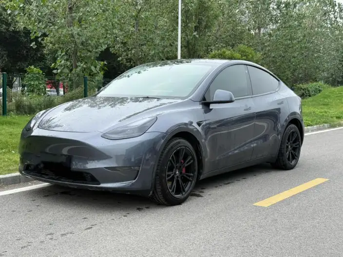 Model Y 2021 Model Long Battery Life Pro All-wheel drive version 3D3/3D7 – фото 1