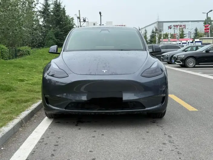 Model Y 2021 Model Long Battery Life Pro All-wheel drive version 3D3/3D7 – фото 2