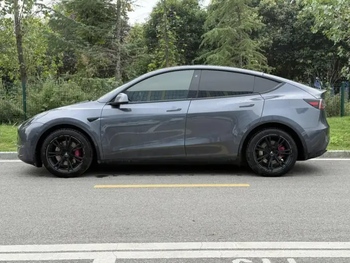 Model Y 2021 Model Long Battery Life Pro All-wheel drive version 3D3/3D7 – фото 3