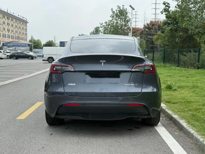 Model Y 2021 Model Long Battery Life Pro All-wheel drive version 3D3/3D7 – фото 4