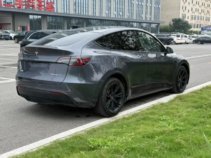 Model Y 2021 Model Long Battery Life Pro All-wheel drive version 3D3/3D7 – фото 5