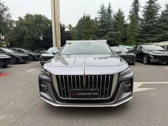 Hongqi H5 2023 Model 2.0T Automatic Flag Lead Edition – фото 2