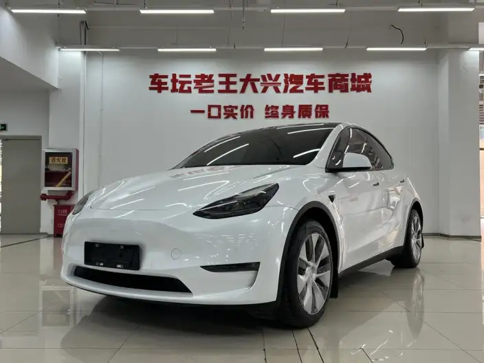 Model Y 2022 Model Long Battery Life Pro All-wheel drive version – фото 1
