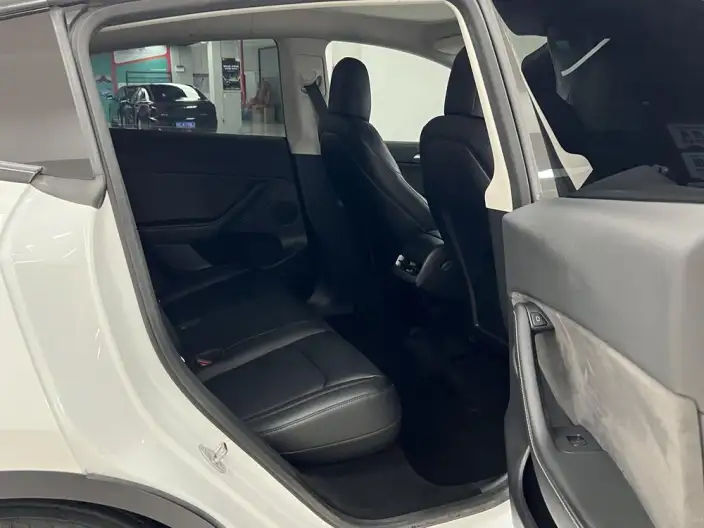 Model Y 2022 Model Long Battery Life Pro All-wheel drive version – фото 8