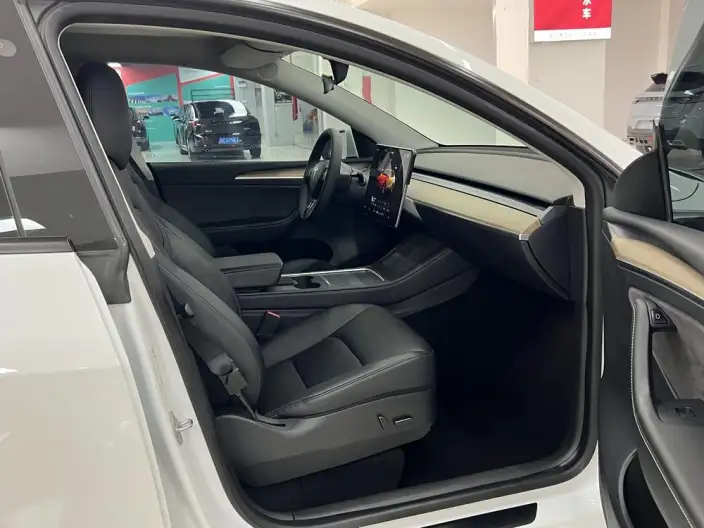 Model Y 2022 Model Long Battery Life Pro All-wheel drive version – фото 9