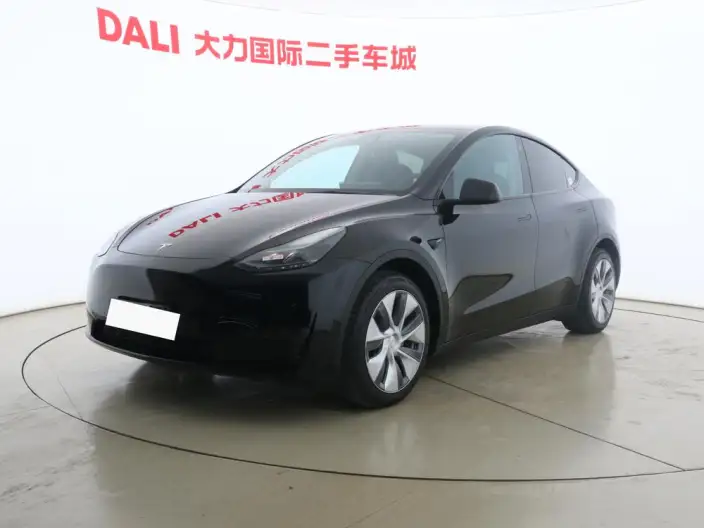 Model Y 2021 Model Standard Battery Life Rear-wheel drive version – фото 1