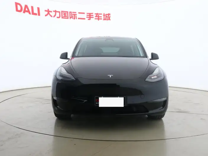 Model Y 2021 Model Standard Battery Life Rear-wheel drive version – фото 2