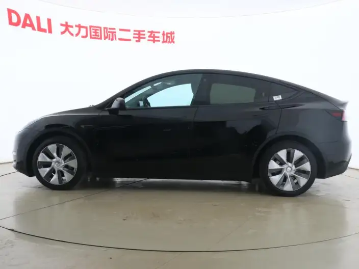 Model Y 2021 Model Standard Battery Life Rear-wheel drive version – фото 3